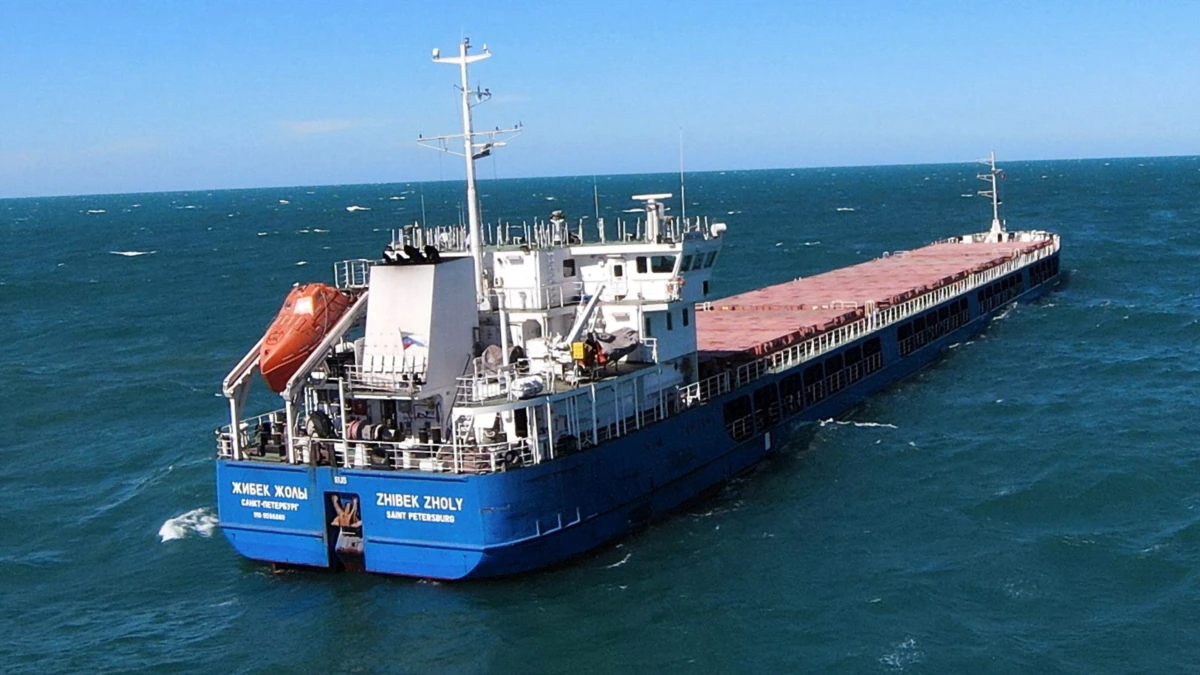 У Туреччині відпустили російське судно з українським зерном. МЗС викликає посла