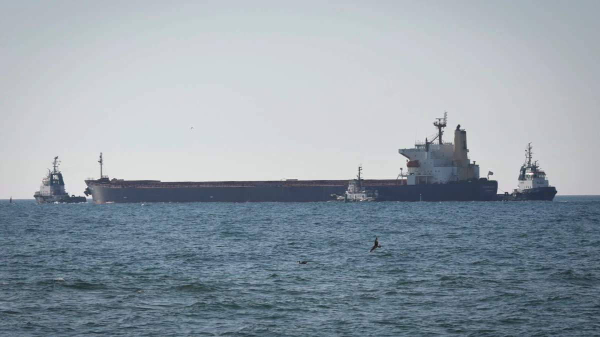 Чотири судна з зерном вийшли з українських портів Чорного моря – Міноборони Туреччини