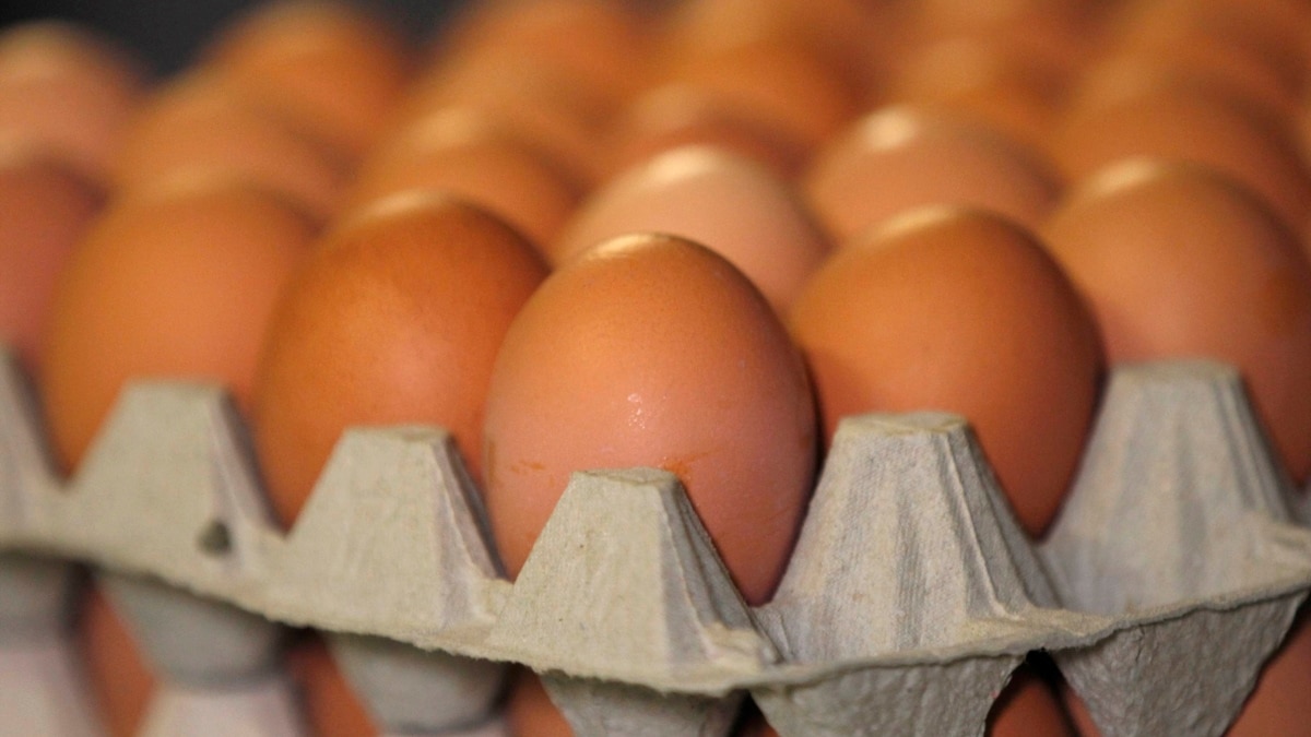 Антимонопольний комітет розслідує, чому яйця подорожчали на 54% за три місяці