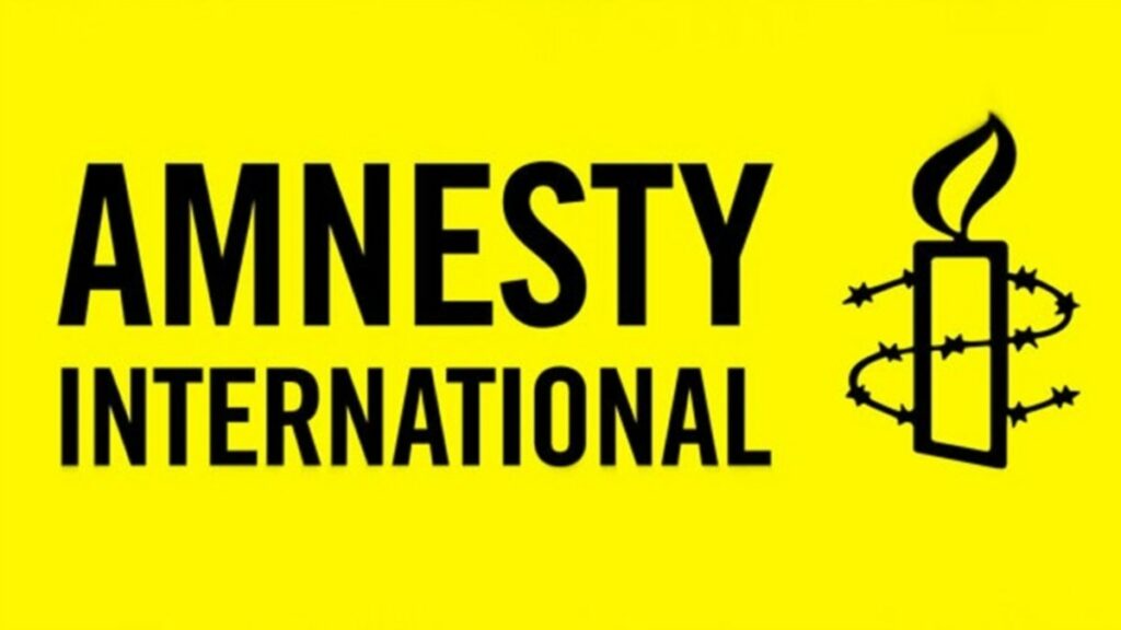 Незалежні експерти розкритикували доповідь Amnesty International про порушення ЗСУ законів війни – NYT