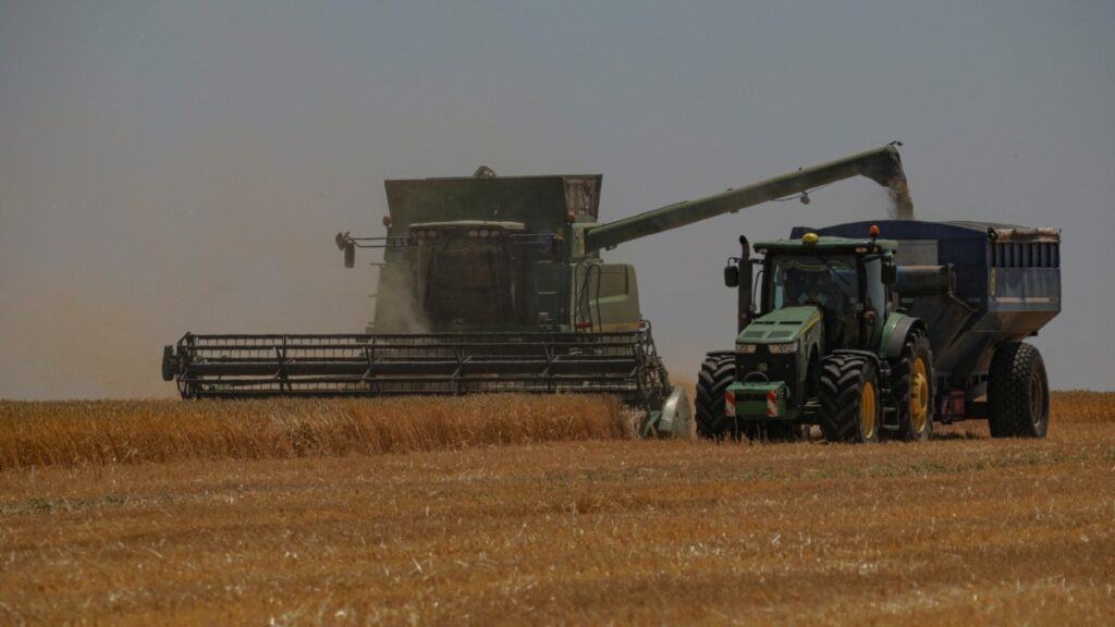 Україна працює над розширенням коридорів для експорту зерна через Словаччину