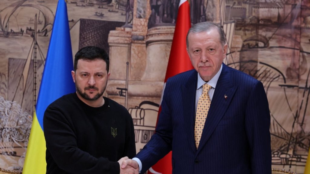 Ердоган і Зеленський не дійшли згоди в питанні участі РФ у мирному саміті