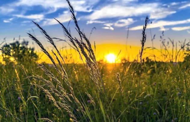 Погода: у столиці збережеться спокійна літня погода